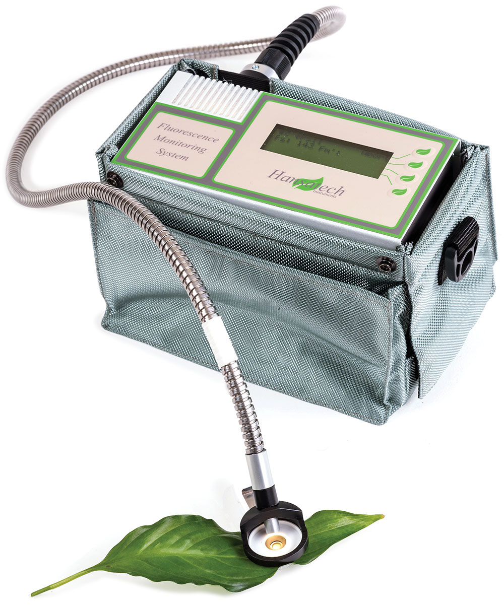 FMS2 Chlorophyll Fluorescence Chlorophyll Fluorometer