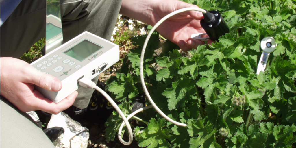 Chlorophyll fluorimeter