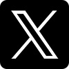 X icon