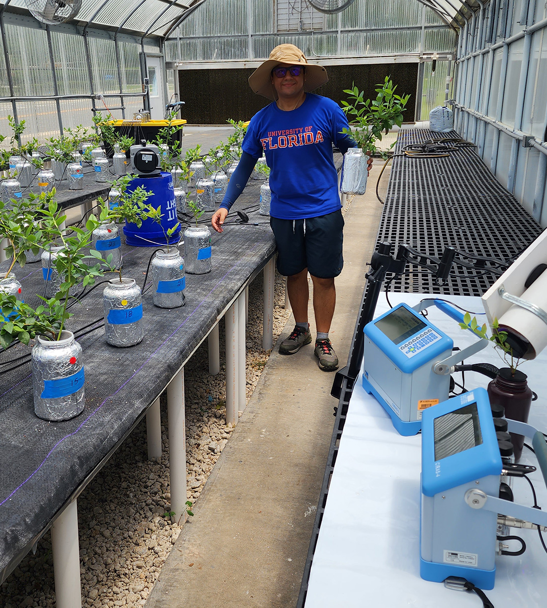 marlon cordero research 2 marlon retana cordero horticulture